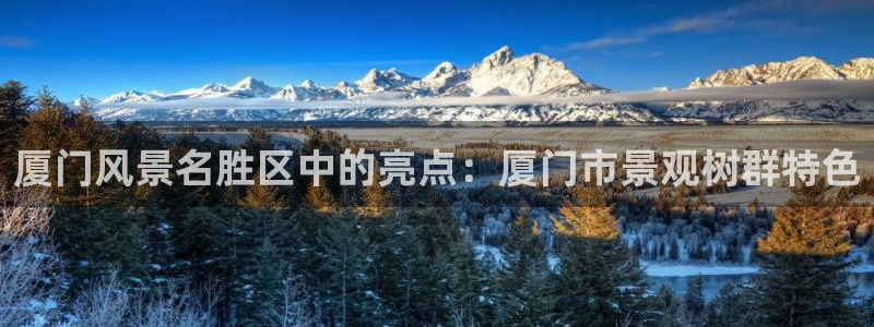 摩根娱乐宝是什么