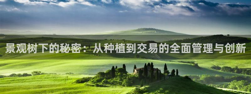 摩根娱乐宝是合法吗