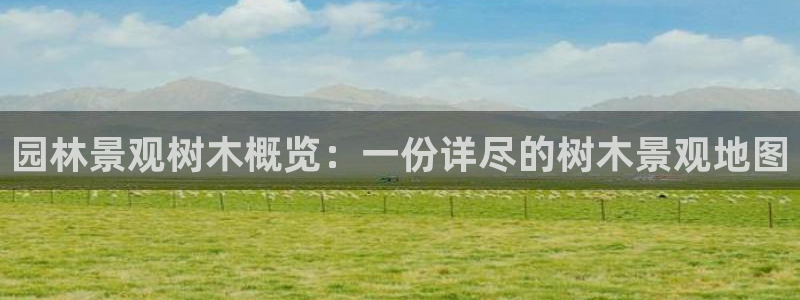 摩根娱乐宝代理
