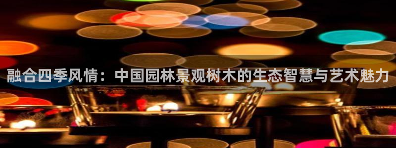 摩根娱乐和摩根国际