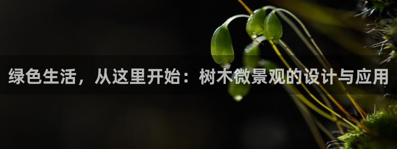 摩根大通投资娱乐公司