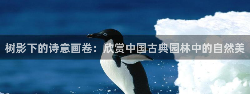 芜湖摩根一百有哪些娱乐
