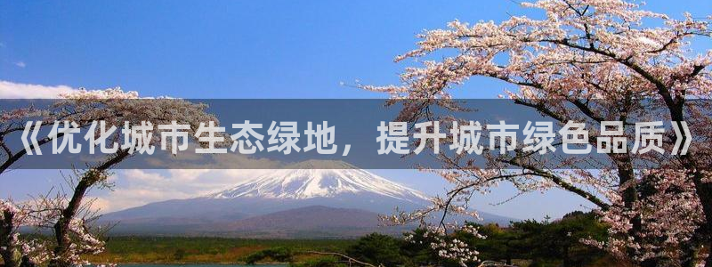 摩根娱乐宝教程