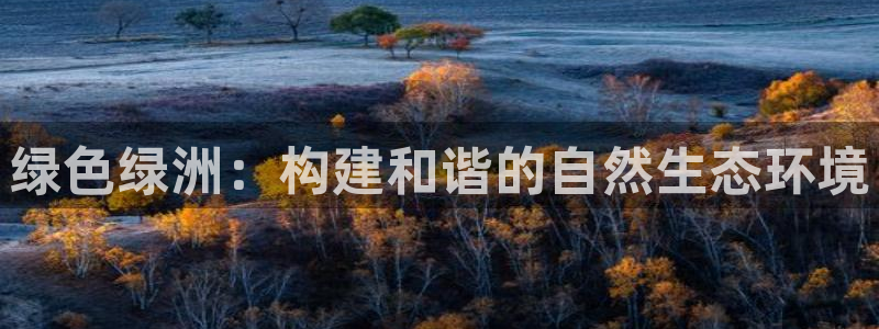 摩根娱乐老lb板50820