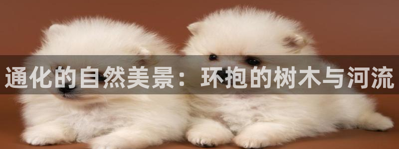 义乌摩根娱乐会所图片