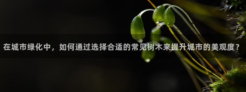 摩根娱乐50186找