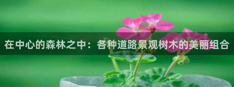 白宫摩根会娱乐会所