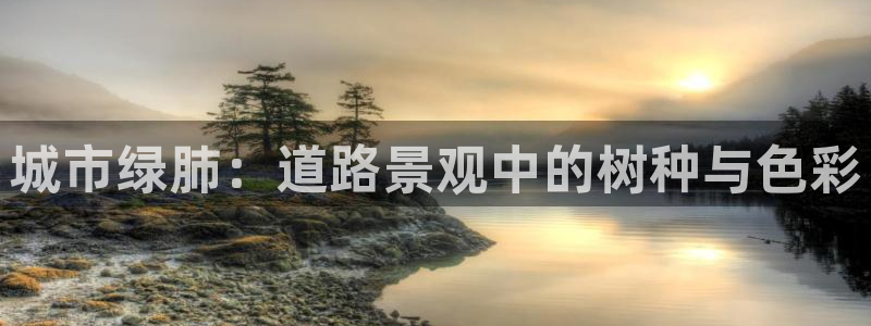 摩根国际商务娱乐会所