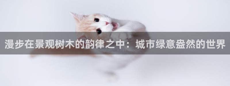 摩根娱乐宝招商