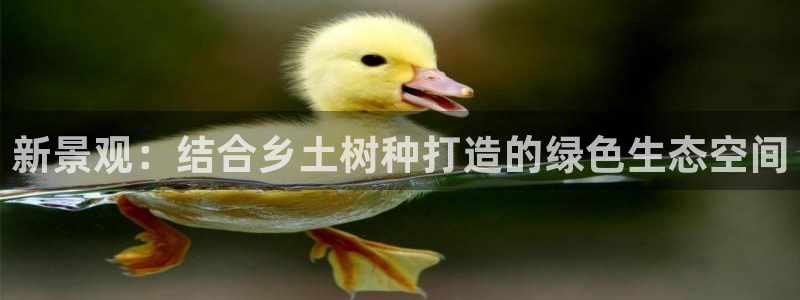 摩根360休闲娱乐