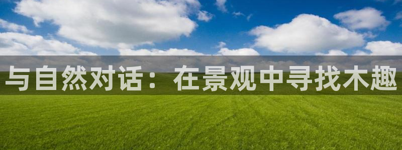 摩根大通投资娱乐公司