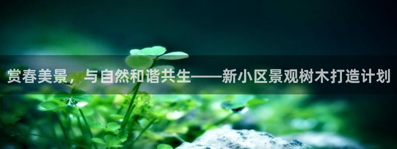 摩根娱乐宝口碑