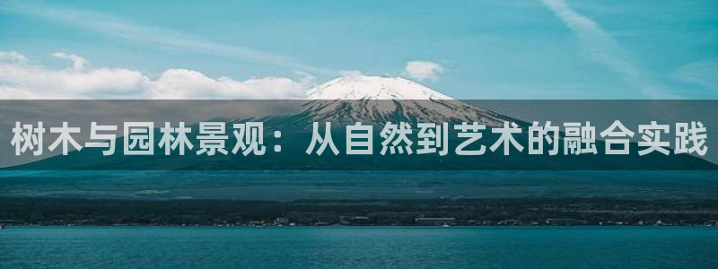 摩根娱乐首页