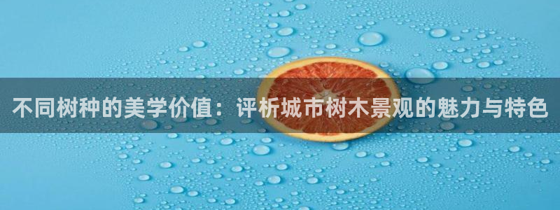 摩根娱乐宝怎么提现