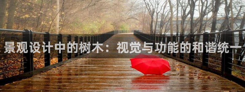 摩根娱乐宝下载