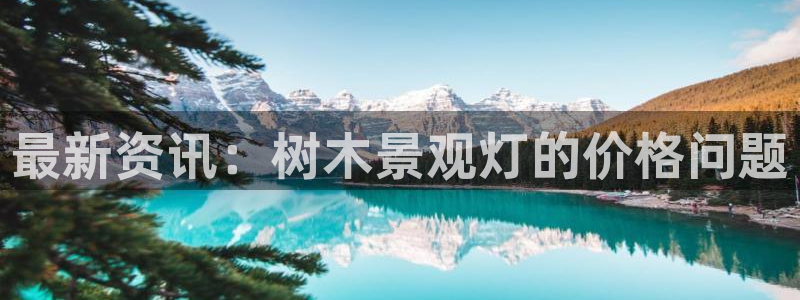 白宫摩根娱乐会所：最新资讯：树木景观灯的价格问题