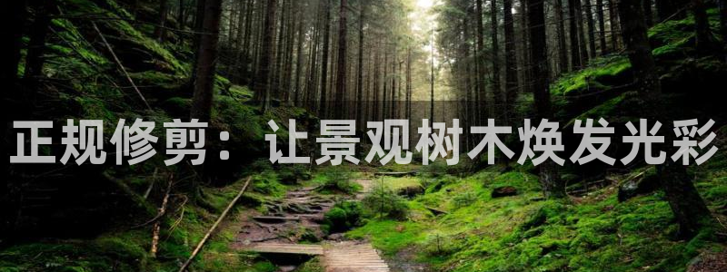 摩根娱乐宝可信吗：正规修剪：让景观树木焕发光彩