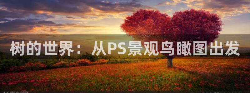 摩根娱乐宝官网下载：树的世界：从PS景观鸟瞰图出发