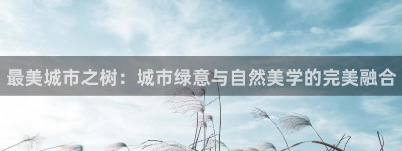 摩根娱乐 c招a商77130