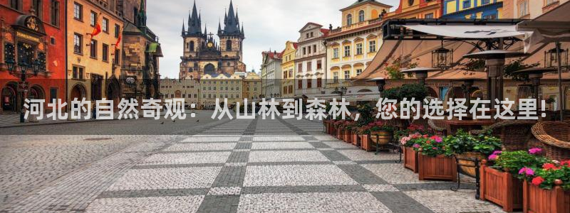 义乌摩根娱乐会所：河北的自然奇观：从山林到森林，您的选择在这里!