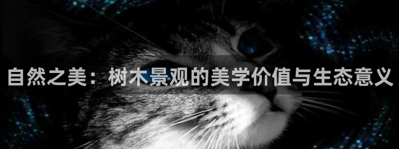 义乌市摩根娱乐会所