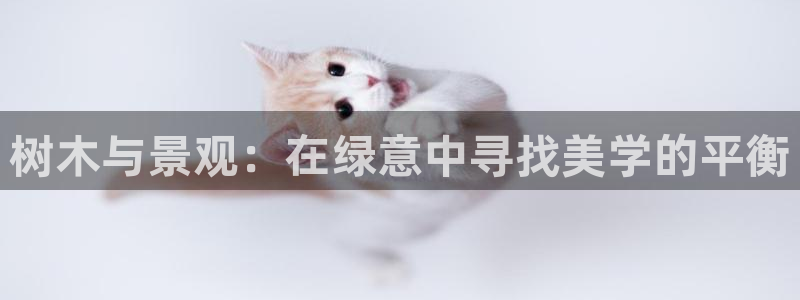 泉州摩根会娱乐保安