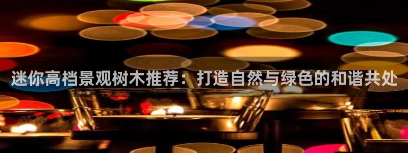 摩根娱乐创始人