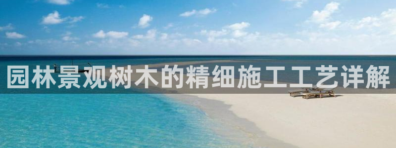 摩根娱乐50186选择