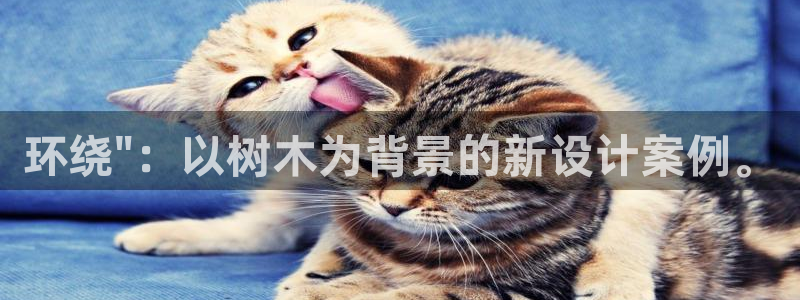 下载摩根国际娱乐宝