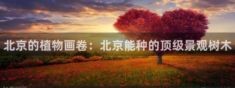 摩根娱乐宝口碑