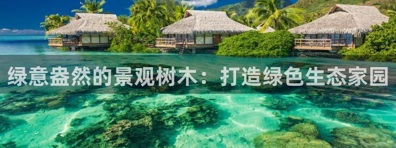 摩根娱乐宝怎么赚钱：绿意盎然的景观树木：打造绿色生态家园