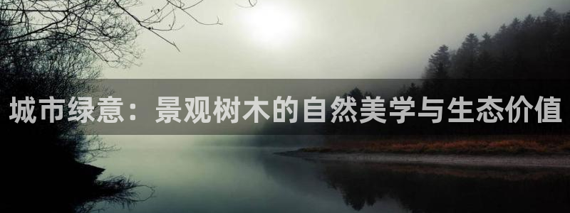 摩根大通投资娱乐公司