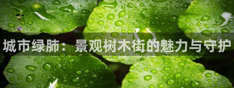 摩根娱乐挂机项目怎么样