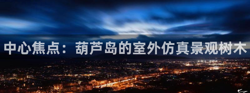 摩根娱乐 实c力77310