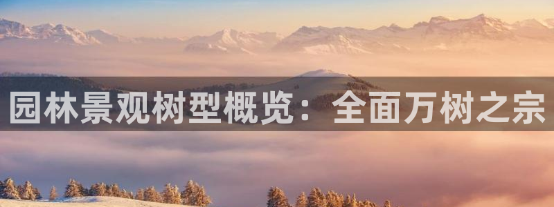 摩根士丹利凯撒娱乐