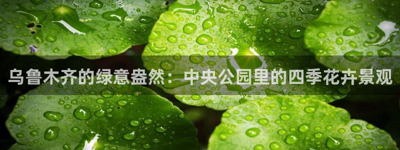 摩根娱乐宝软件下载