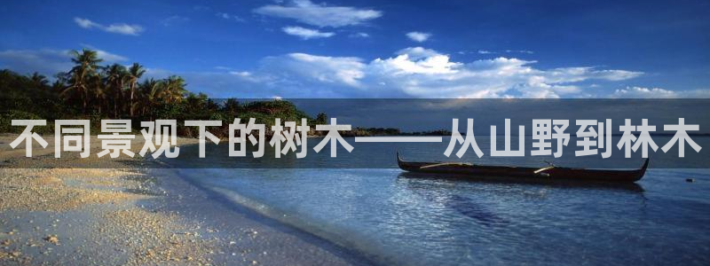 摩根娱乐宝可靠不