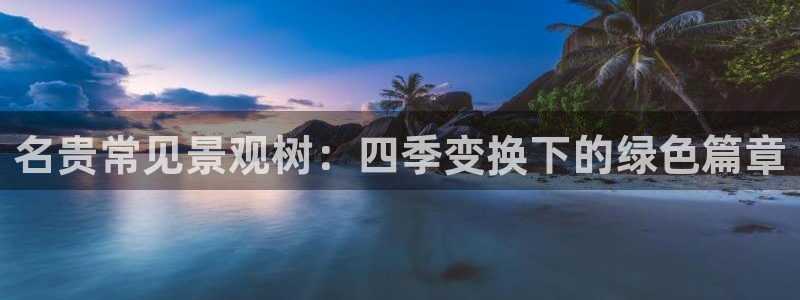柬埔寨西港摩根娱乐