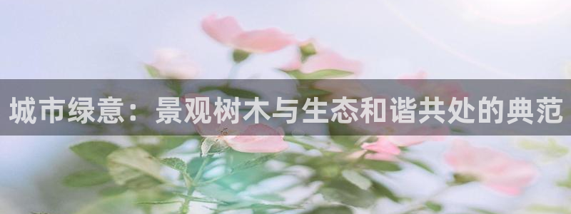 摩根娱乐_ c招a商77130