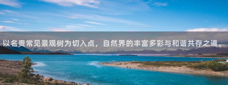 摩根娱乐宝骗了我