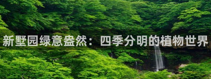 摩根娱乐宝怎么赚钱