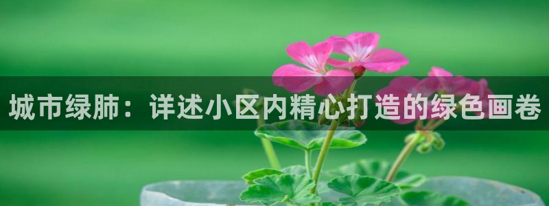 摩根娱乐是什么