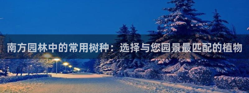 摩根娱乐宝总部招商