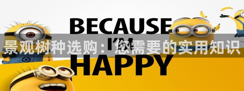 泉州摩根会娱乐张桂花