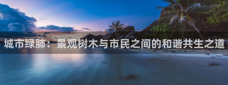 摩根娱乐身生个女孩吧