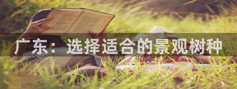 摩根娱乐50186联系