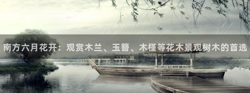 摩根娱乐电玩