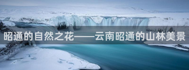 柬埔寨西港摩根娱乐：昭通的自然之花——云南昭通的山林美景