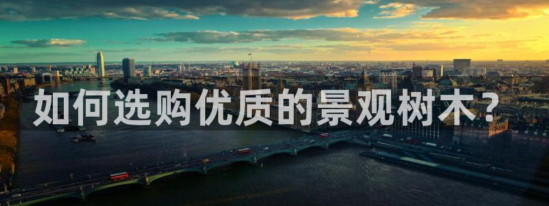 义乌市摩根娱乐会所