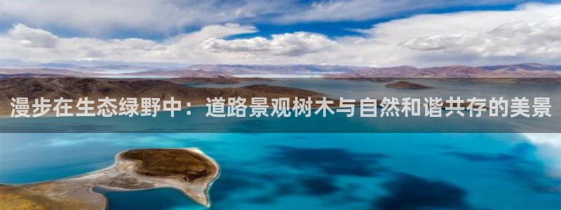 摩根娱乐会所电话